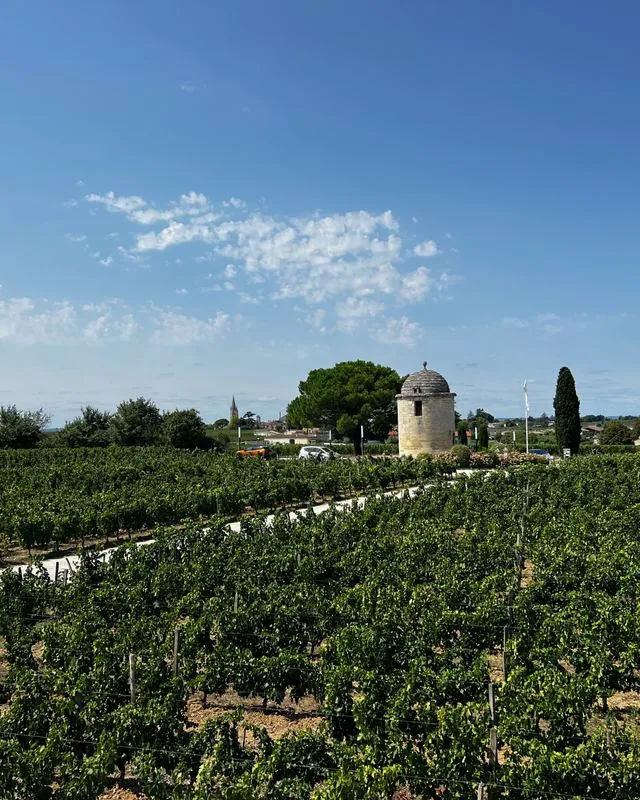 Vignoble de l'arrière-pays biterrois